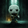 Funko Pop! Harry Potter Lord Voldemort Special Edition Figure